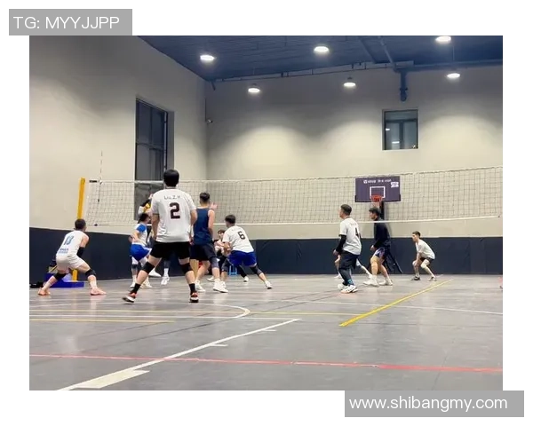 成都排球队灵活性分析及其对比赛表现的影响探讨 成都排球队灵活性分析及其对比赛表现的影响探讨