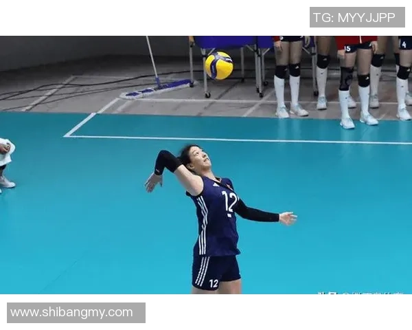 杭州与成都排球队赛后分析实力对比与未来展望