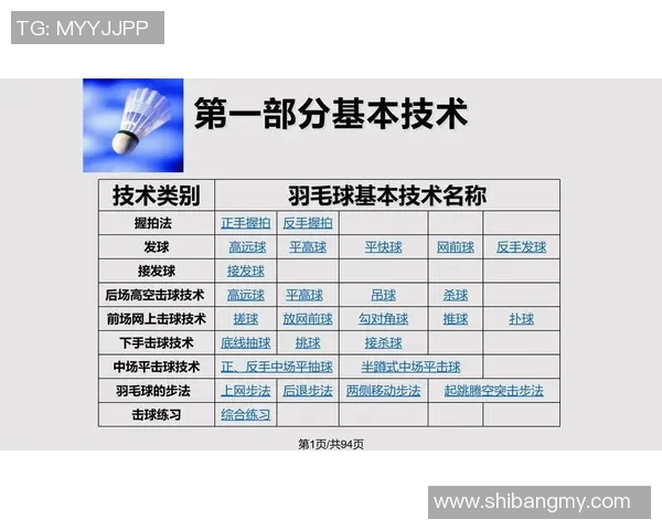 深圳羽毛球队在城市联赛中的战术表现分析与点评 深圳羽毛球队在城市联赛中的战术表现分析与点评