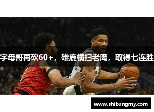 字母哥再砍60+，雄鹿横扫老鹰，取得七连胜