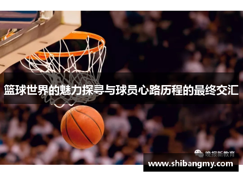 篮球世界的魅力探寻与球员心路历程的最终交汇