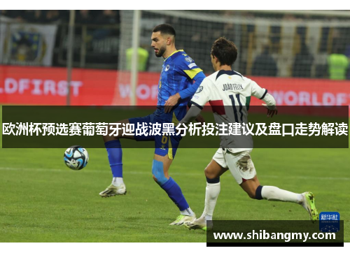 欧洲杯预选赛葡萄牙迎战波黑分析投注建议及盘口走势解读