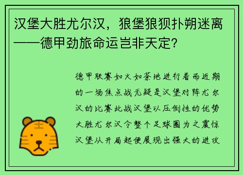汉堡大胜尤尔汉，狼堡狼狈扑朔迷离——德甲劲旅命运岂非天定？