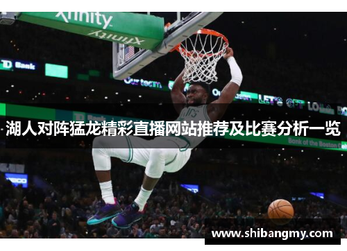 湖人对阵猛龙精彩直播网站推荐及比赛分析一览