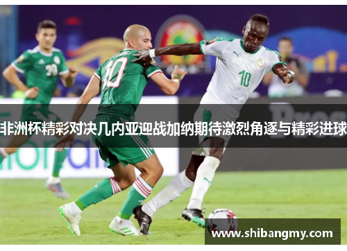 非洲杯精彩对决几内亚迎战加纳期待激烈角逐与精彩进球