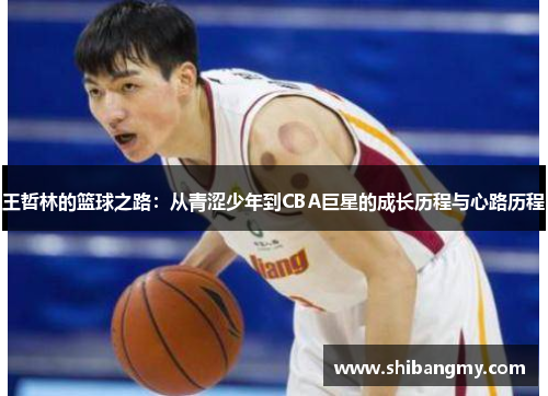 王哲林的篮球之路：从青涩少年到CBA巨星的成长历程与心路历程