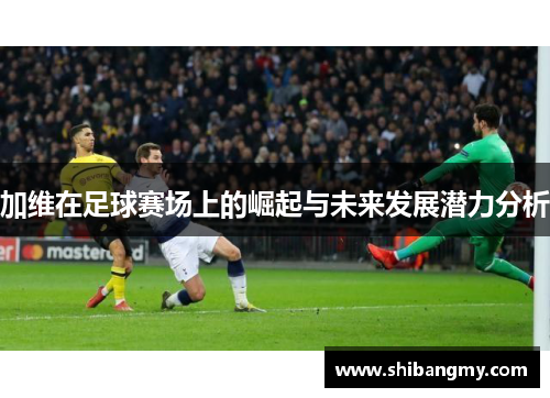 加维在足球赛场上的崛起与未来发展潜力分析